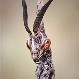 Meet your Posher, Tim